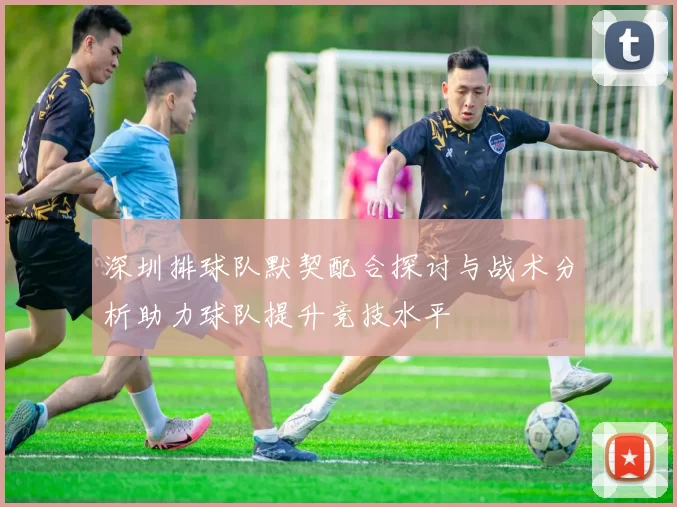 深圳排球队默契配合探讨与战术分析助力球队提升竞技水平